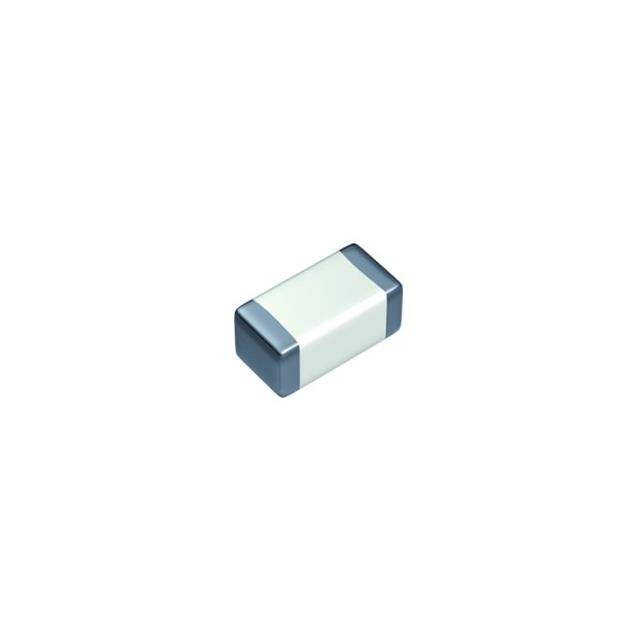 MSART042SCG7R3BWRA01